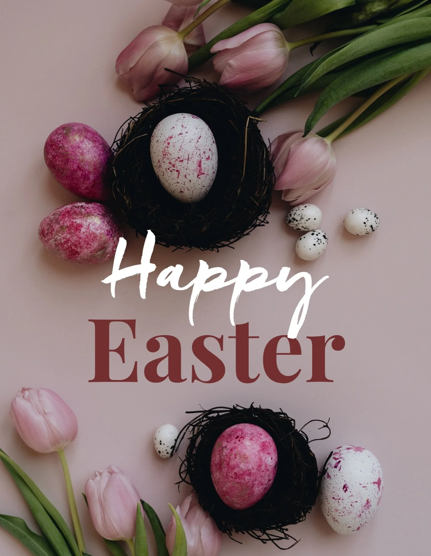 Happy Easter ✨
He is risen. ✝️
Wishing our flock a day filled with hope, renewal, and joy. 💕🦩