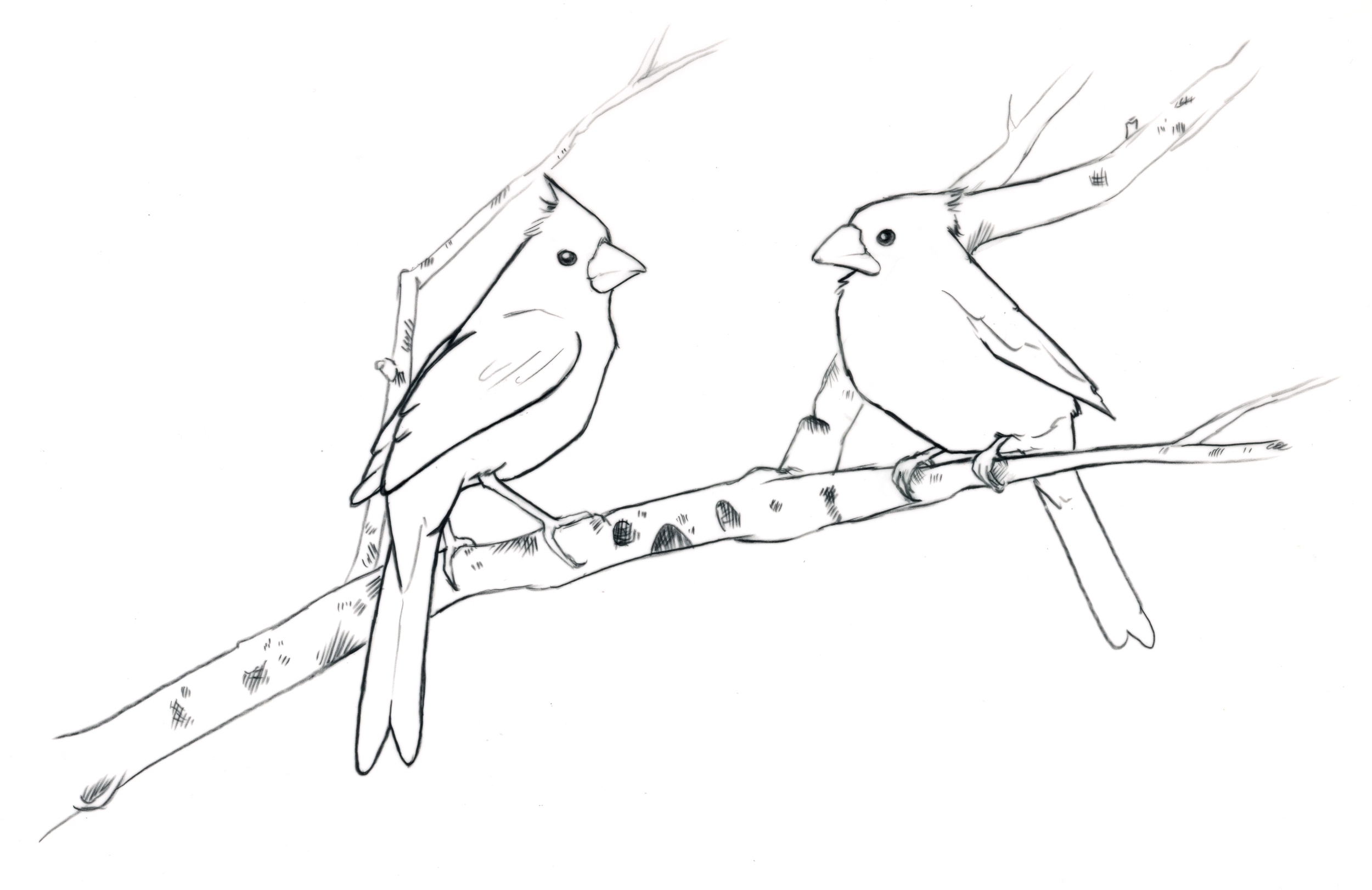 Cardinal pair