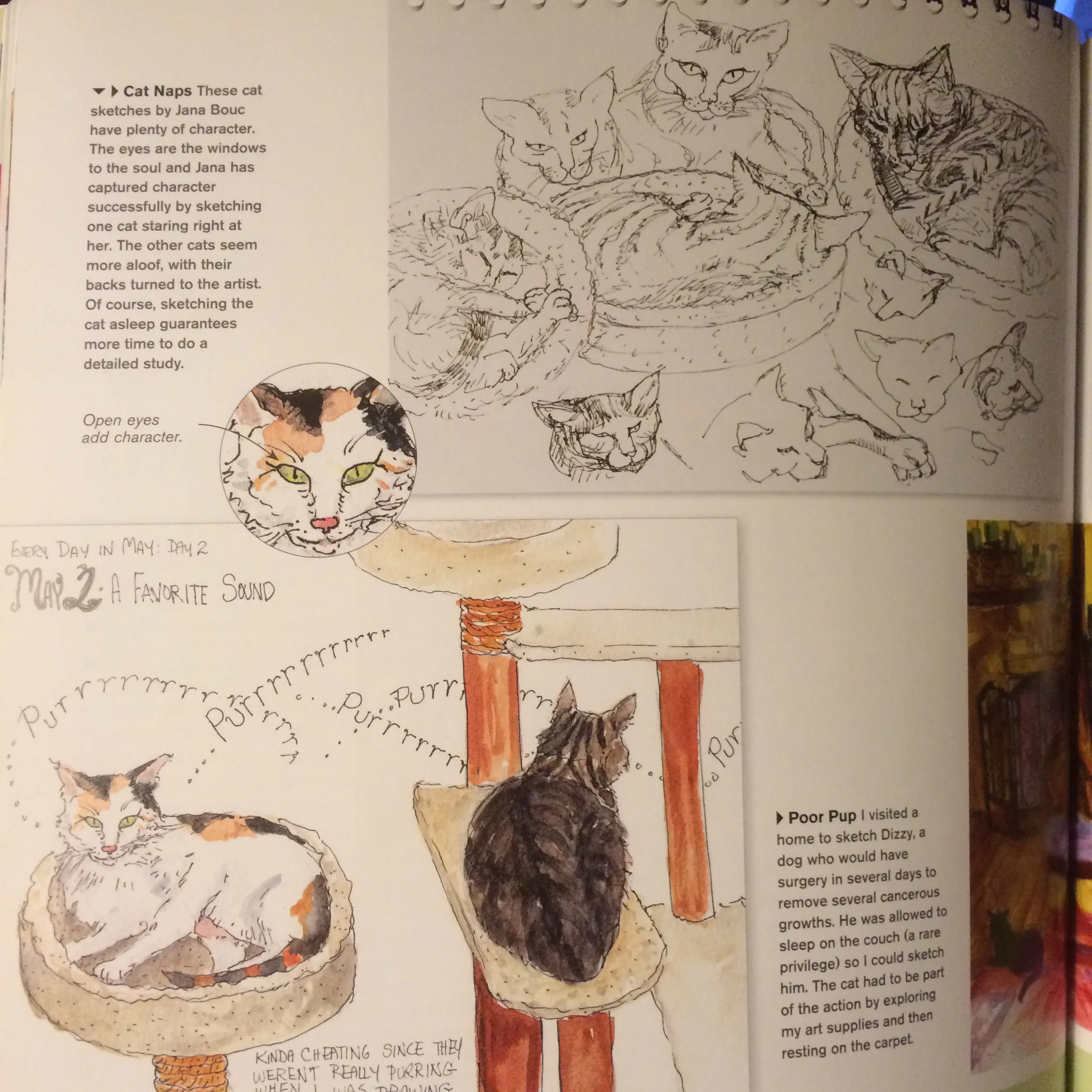 My favorite pages involve animal sketches, obviously!