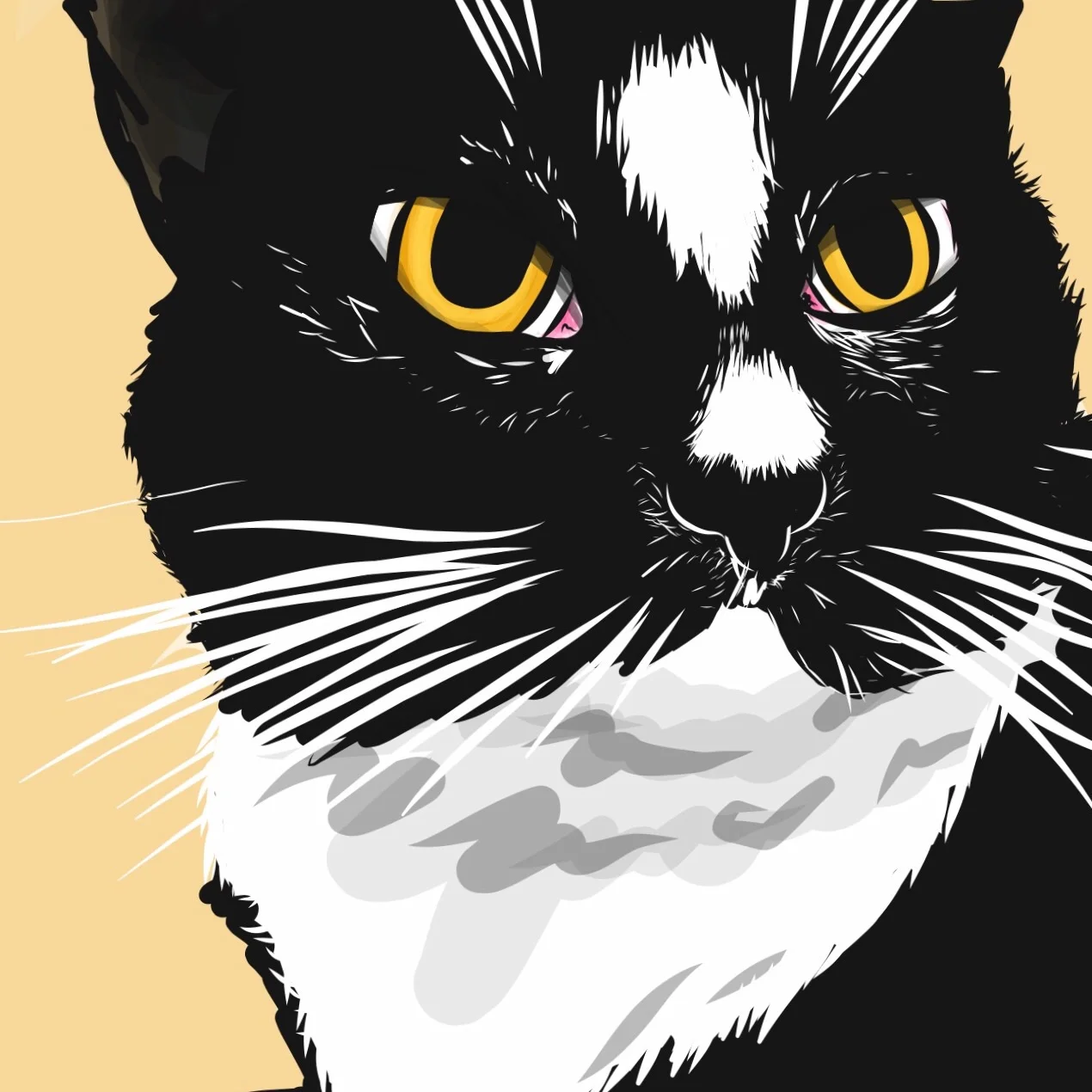 My good friend's cat, Alcyone, makes a perfect model for black and white vector work.