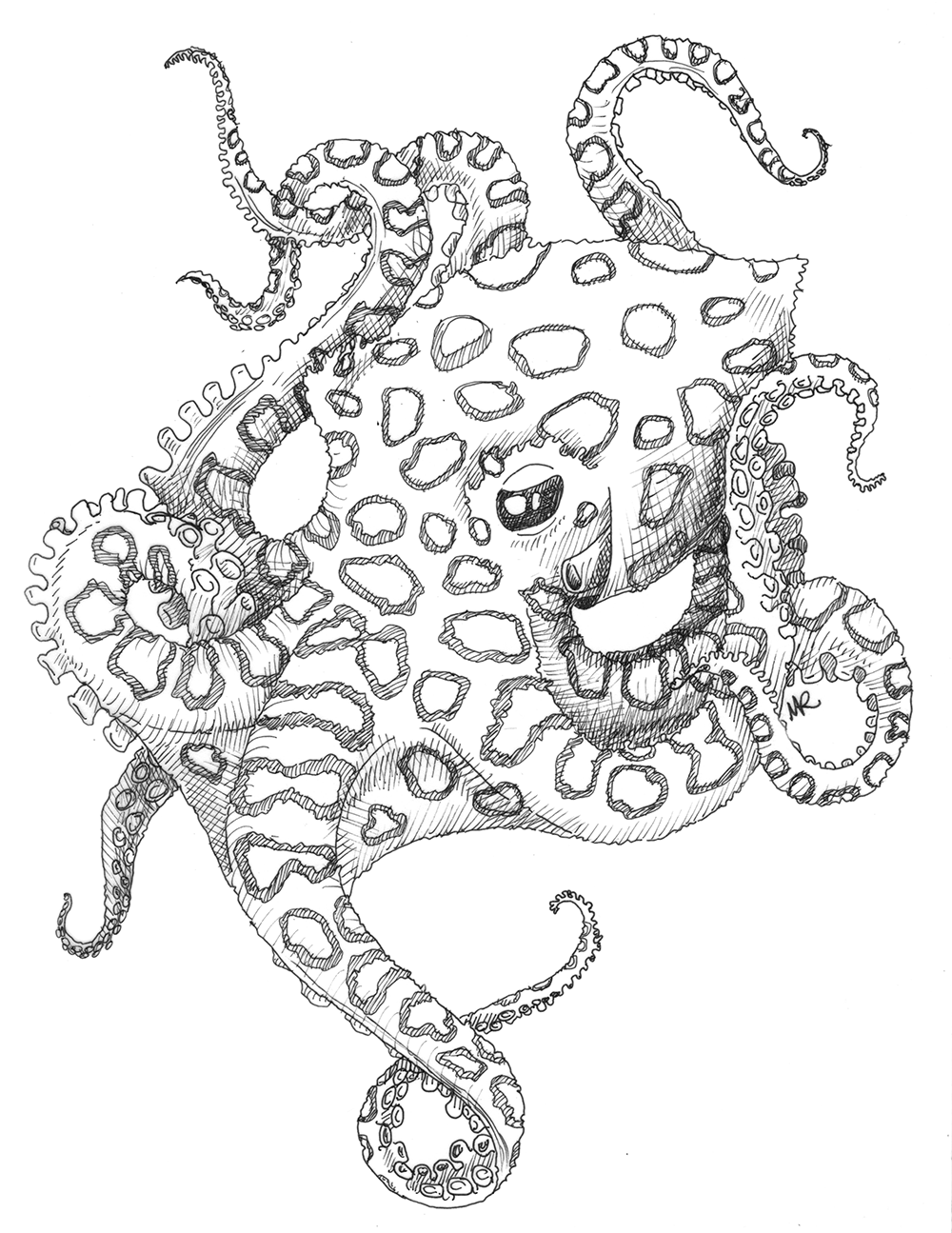 Deanna wanted a tattoo of a blue-ringed octopus, similar to a piece that you can see on my portfolio page! The proportions needed to be a bit different to fit on her upper arm so I got started designing her piece. 