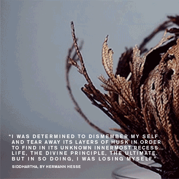 ENLIGHTENMENT_SOCIAL_03.gif