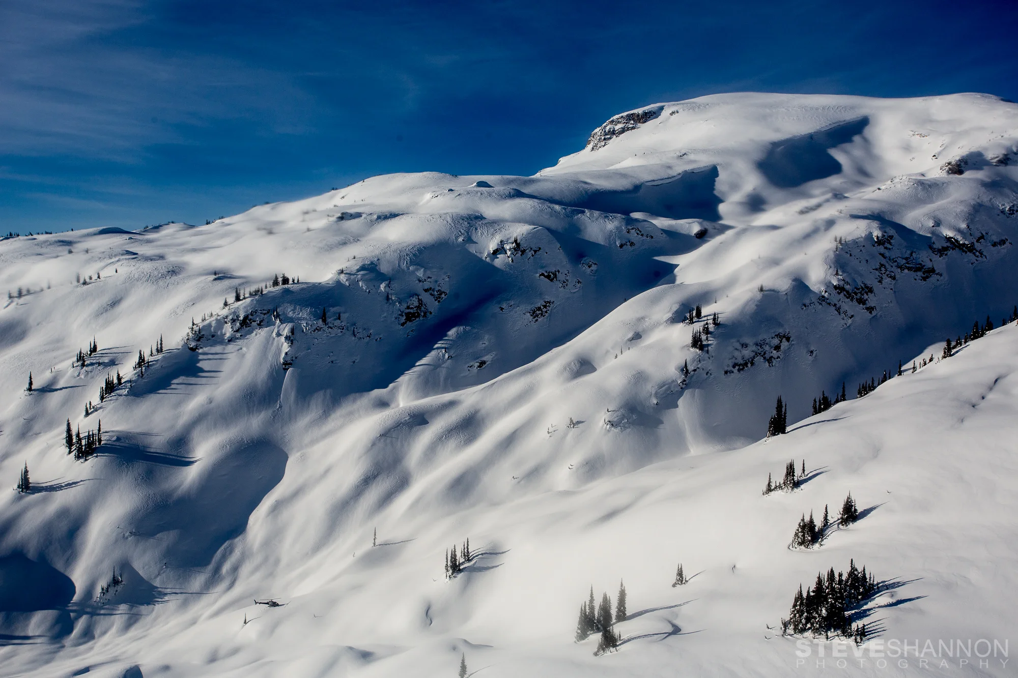 SteveShannonPhoto_20140120_8327-2.jpg