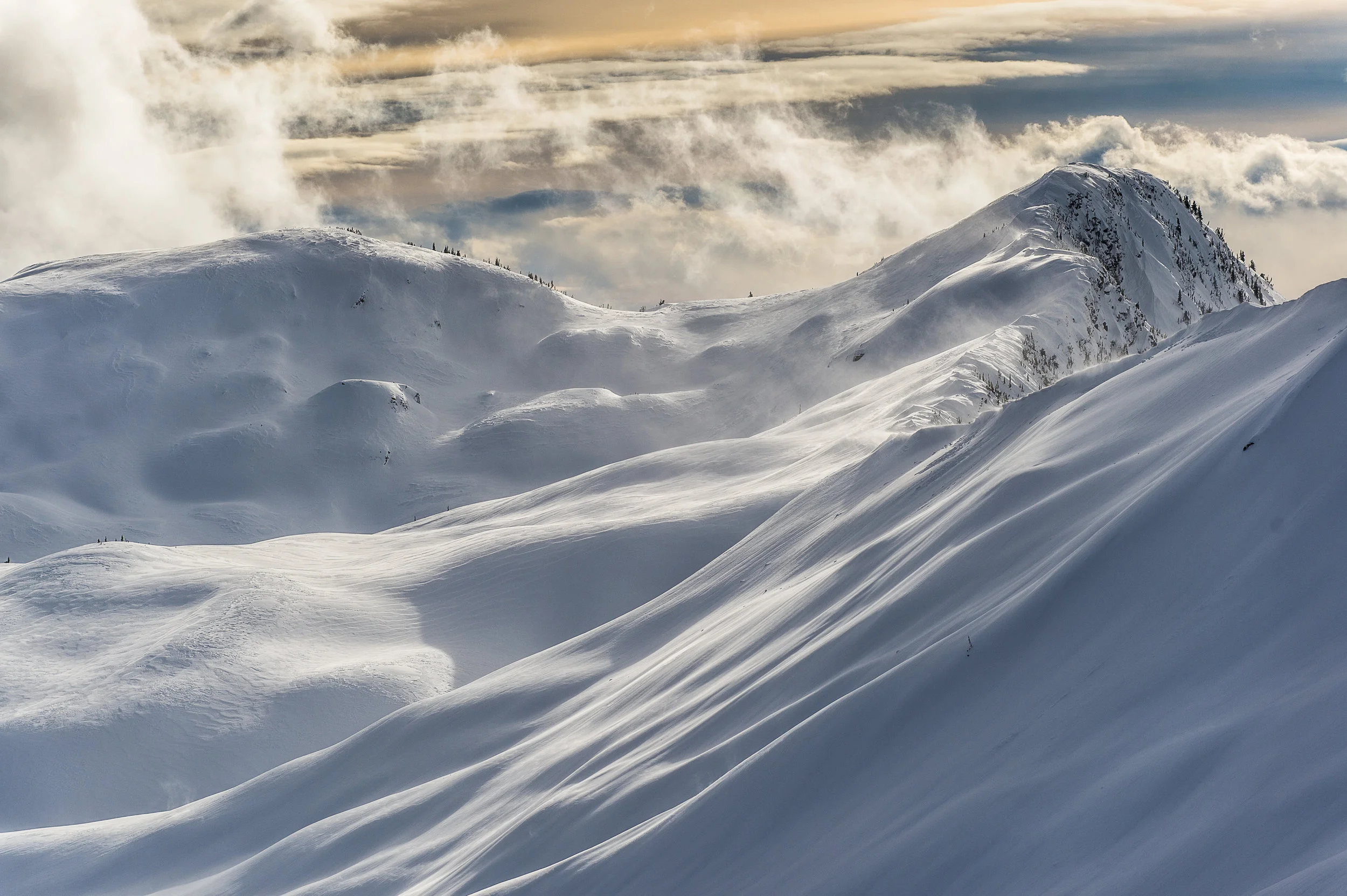 Selkirk Tangiers_Alain Sleigher_2014-0459.jpg
