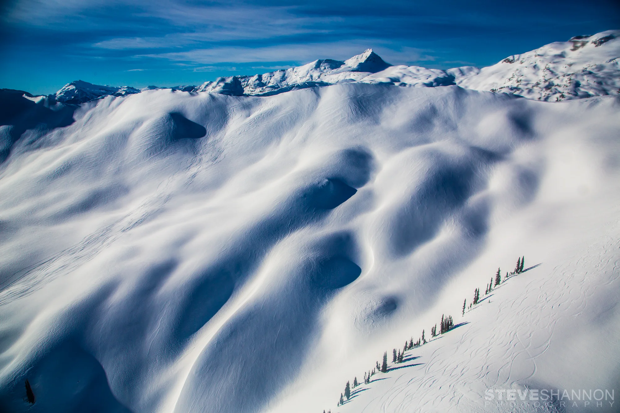 SteveShannonPhoto_20140120_8833 (1).jpg