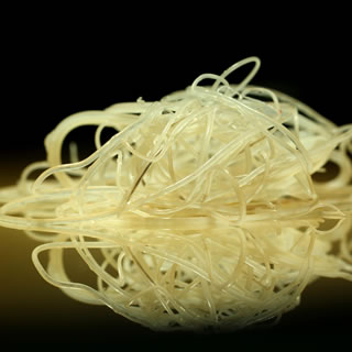 Visit the American Heartworm Society website to learn more about these deadly parasites.