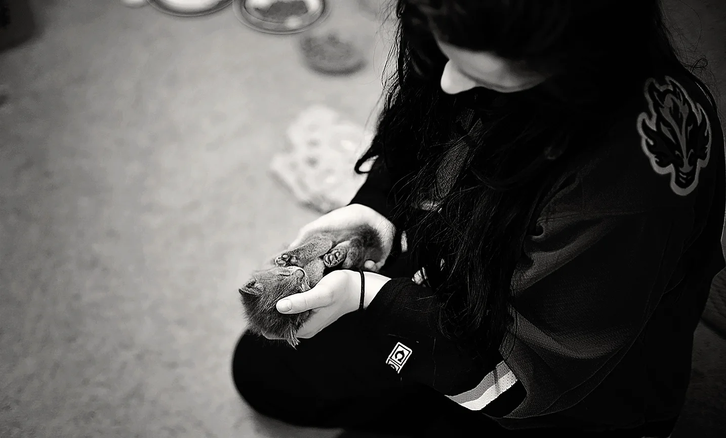 Fostering is all. the. feels.