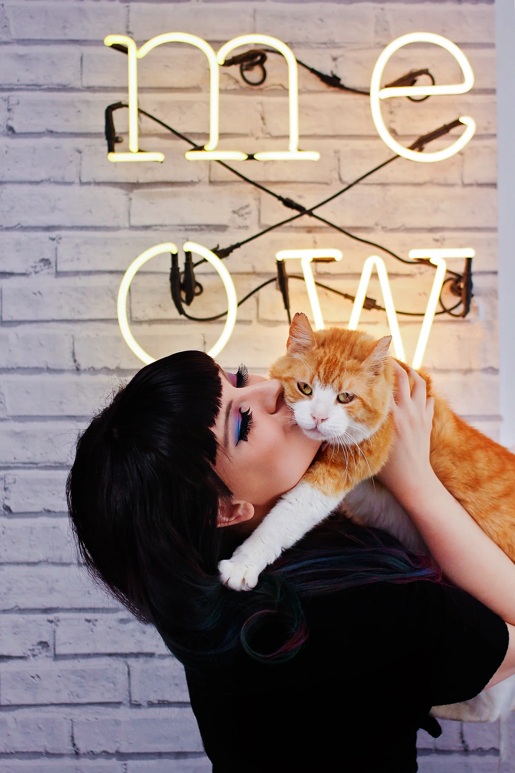 Crumbs and Whiskers (1).jpg