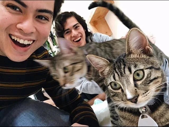 If your kitten cafe selfies have TWO kittens in them, you&rsquo;re doing it right. And we&rsquo;re very jealous of your skills. Talking to you, @edwardireton. 🥰😼
.
A D O P T E D
L O C A T I O N: L A #crumbsandwhiskers #catcafe #kittencafe #adoptdon