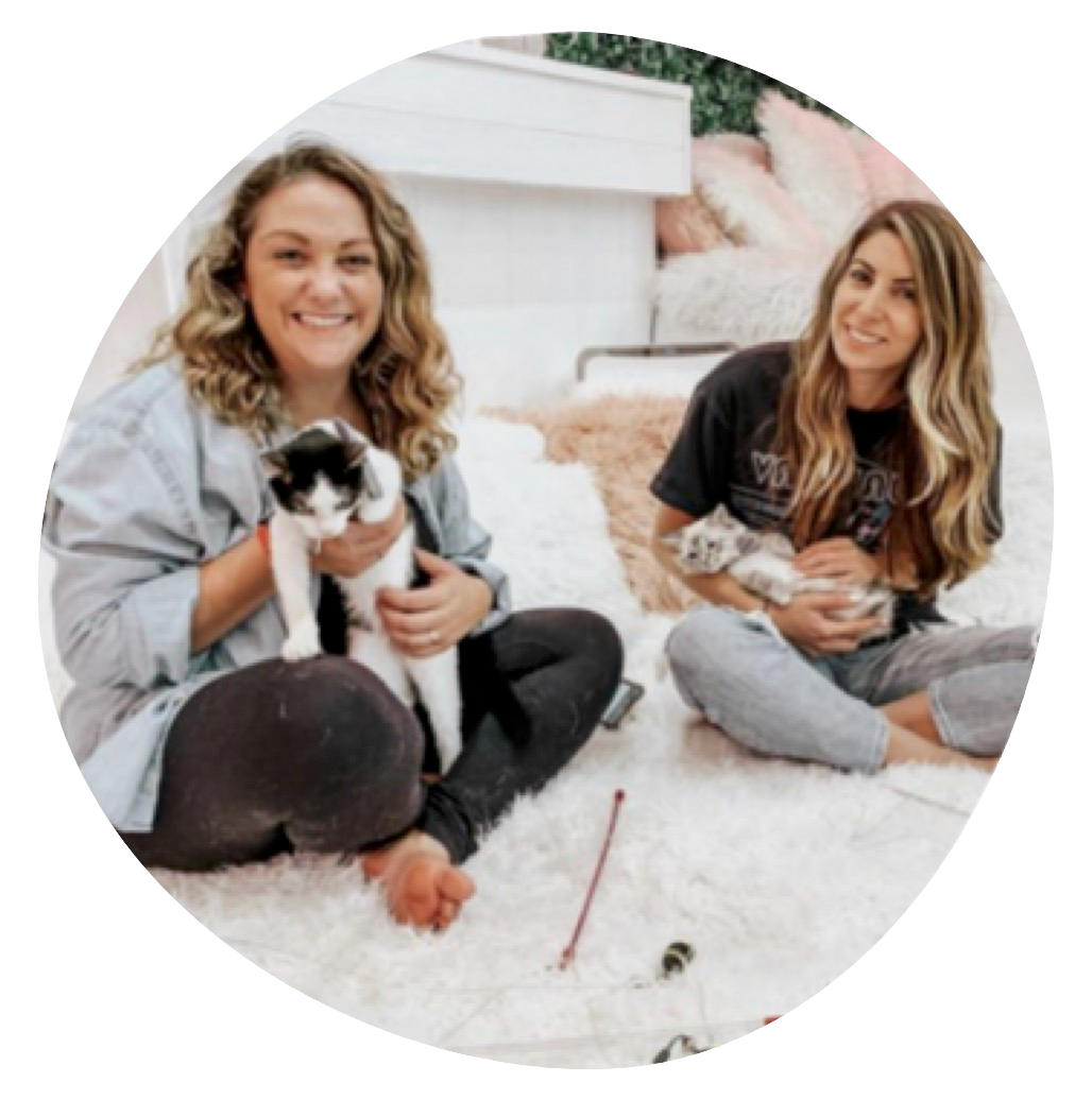 web photo 10 copy.png