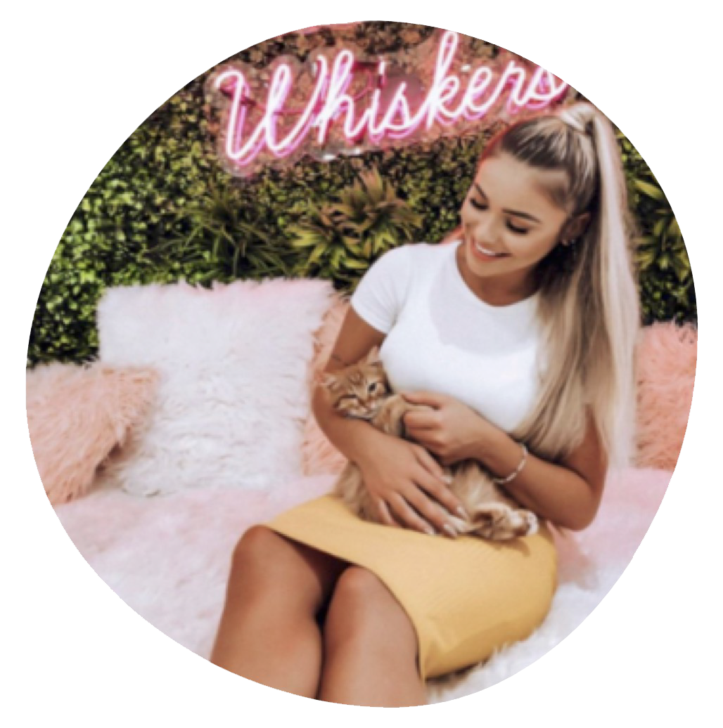 web photo 11 copy.png