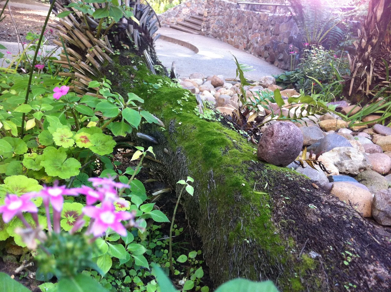 20111119_13-58-53.jpg