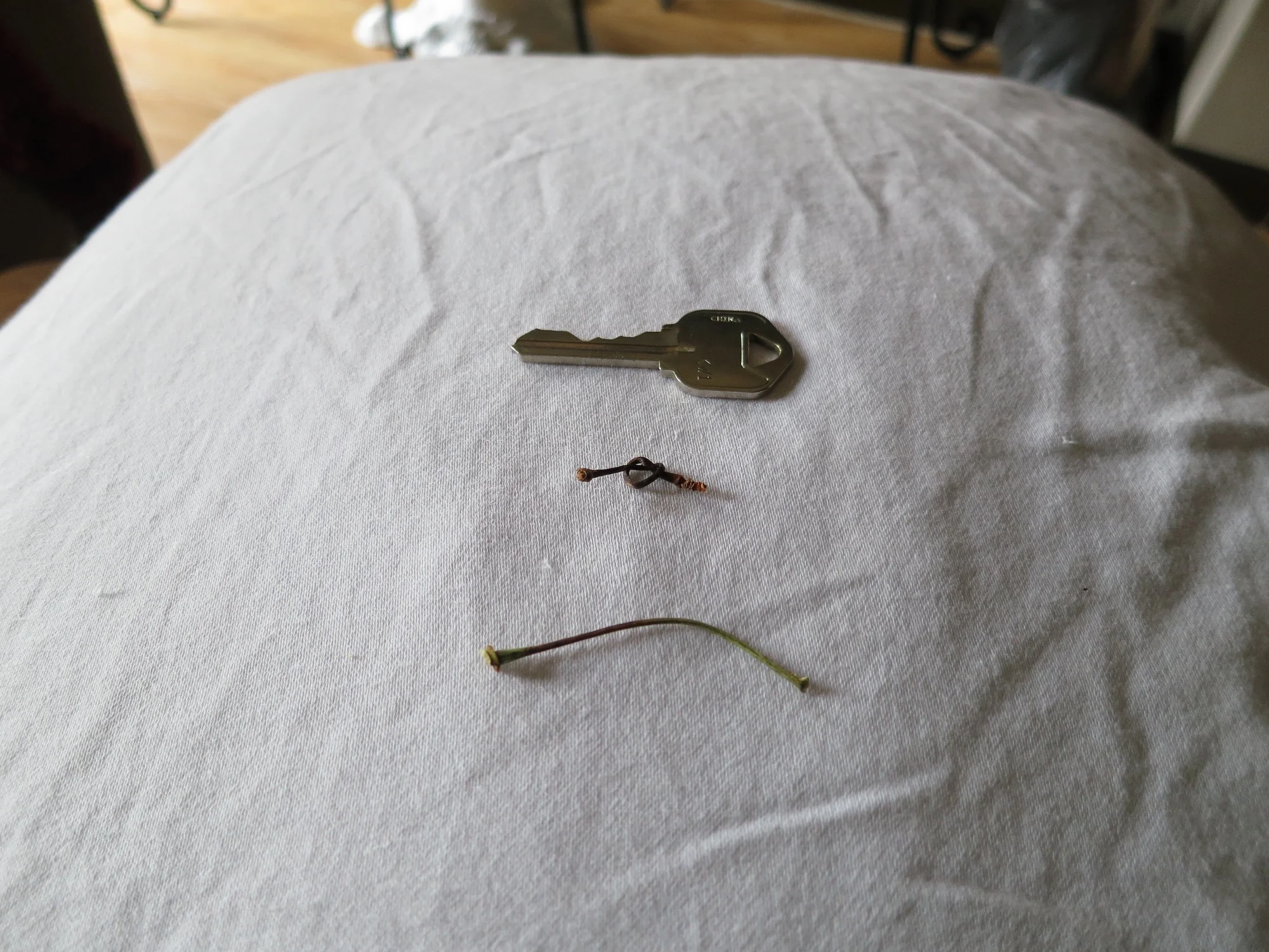 20120702_19-33-47.jpg