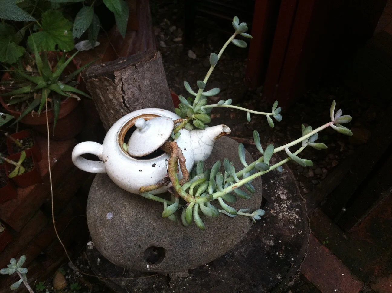 20130218_13-20-41.jpg