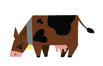 image-asset-1.gif