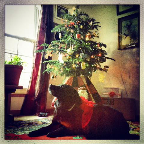AnniTracy_TullyChristmas