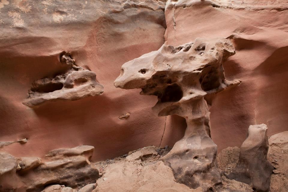 Little Wild Horse Canyon, Utah