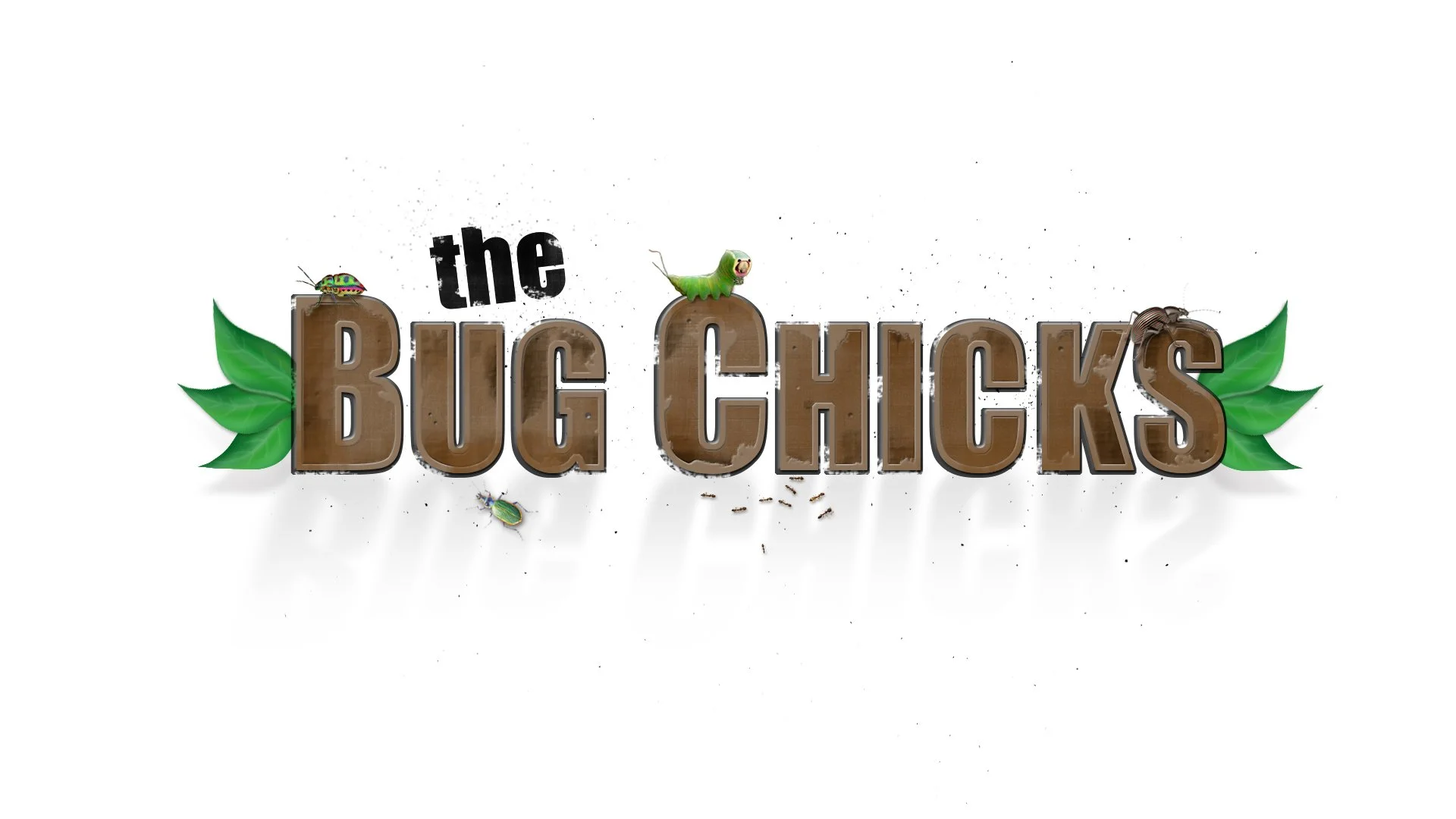 The Bug Chicks Logo.jpg