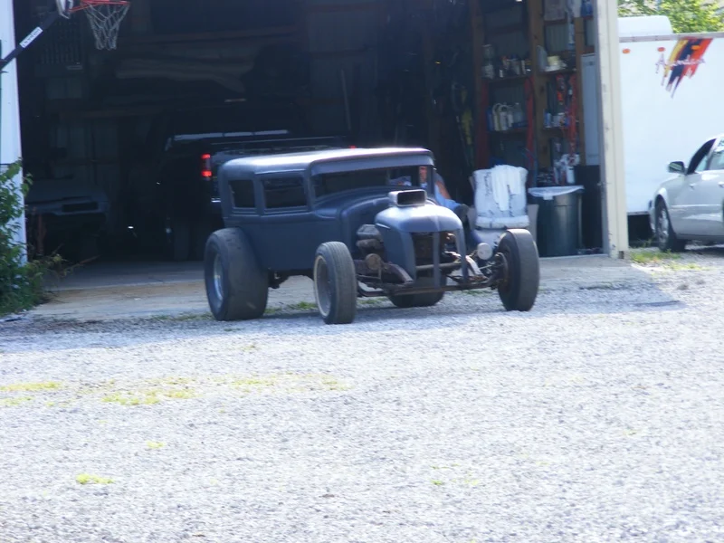 whippet primer 012.JPG