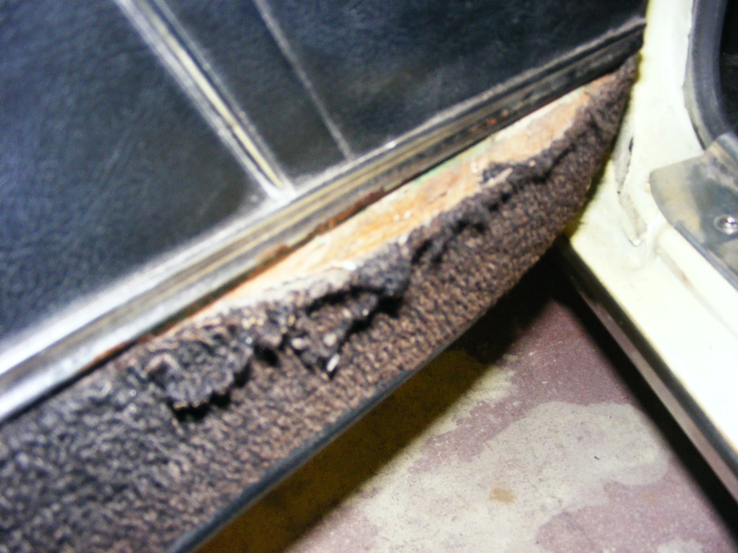 nick b day and gto work 026.JPG