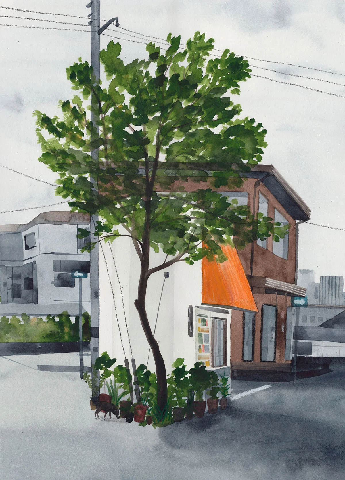 Corner_shop.jpg
