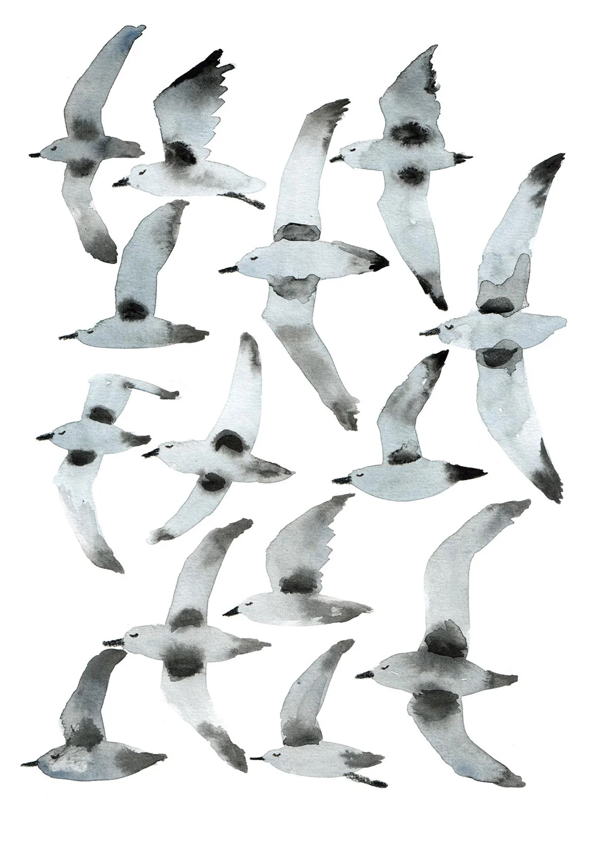 Plovers_1200.jpg
