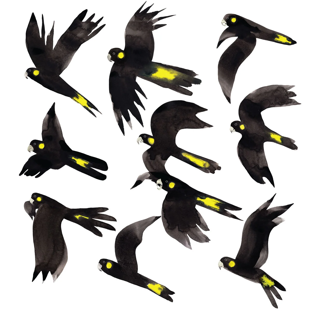 Birds_Print_FA-1.jpg