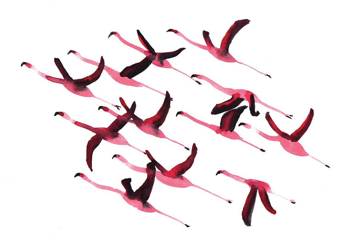 Lots_Flamingoes1_A4.jpg