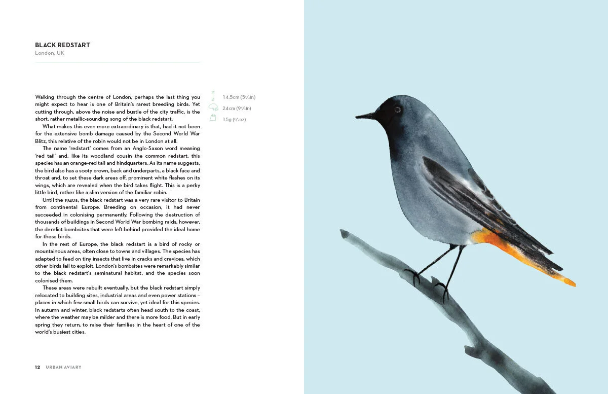 Urban_Aviary_01.jpg