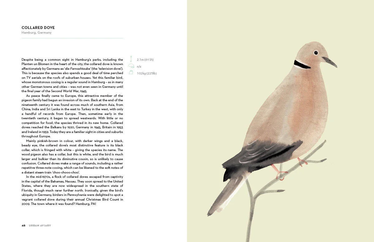 Urban_Aviary_04.jpg