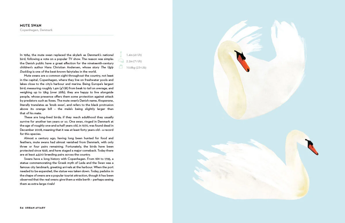 Urban_Aviary_05.jpg