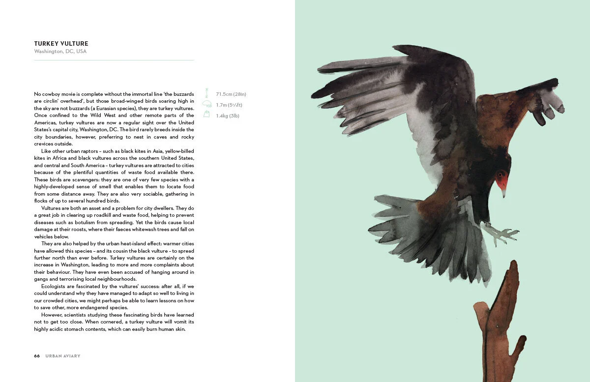 Urban_Aviary_09.jpg