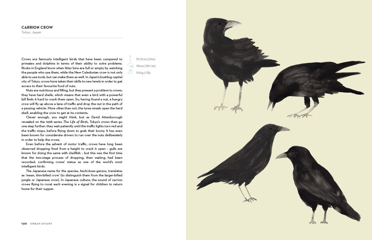 Urban_Aviary_11.jpg