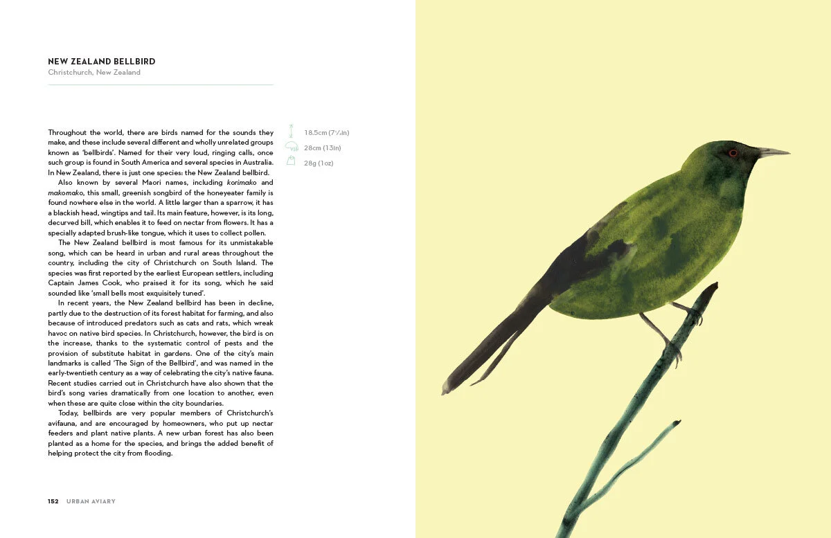 Urban_Aviary_13.jpg