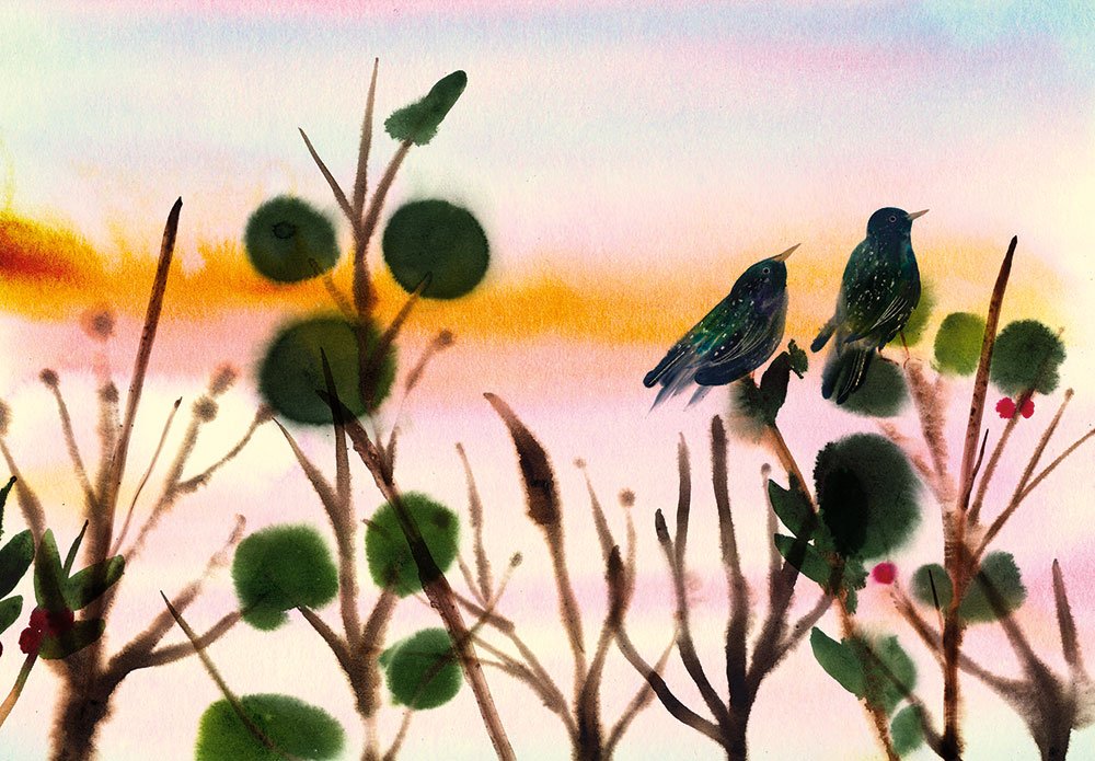 Starlings_01.jpg