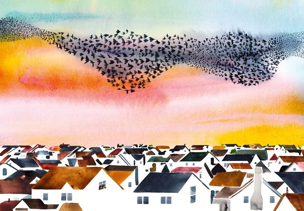 Starlings_03.jpg