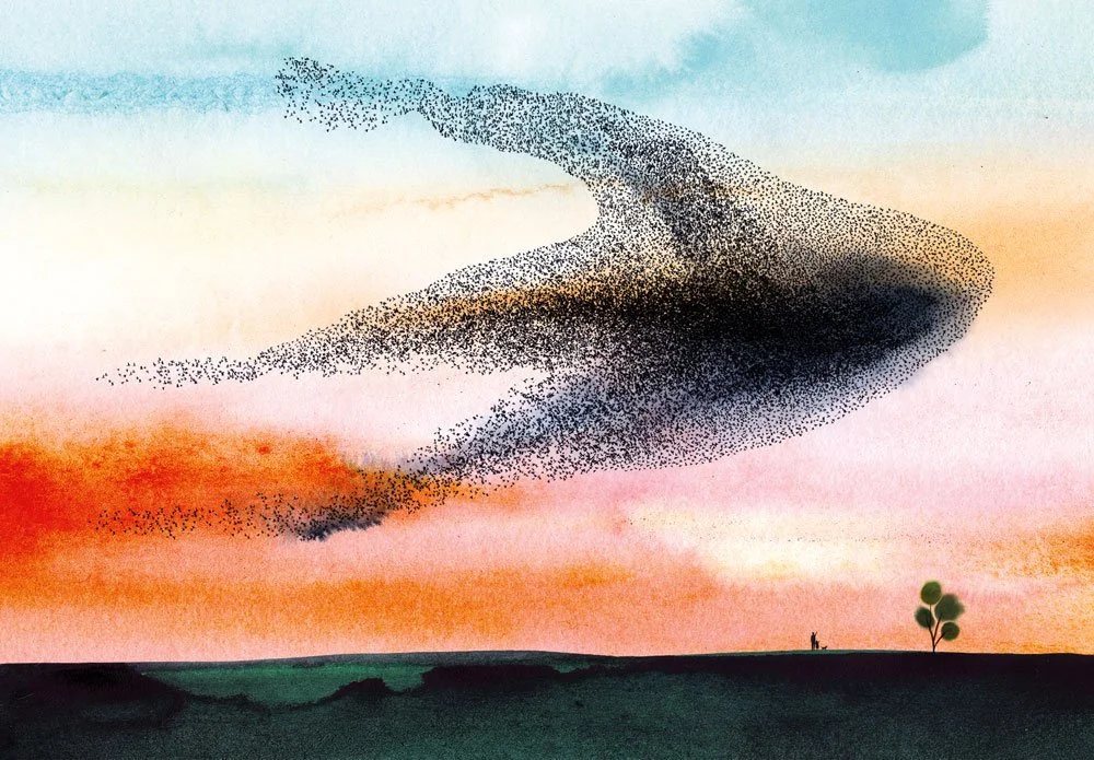 Starlings_04.jpg