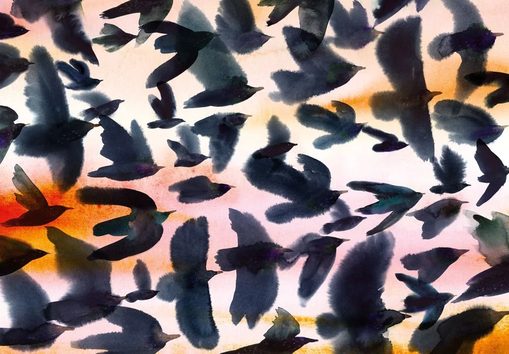 Starlings_06.jpg