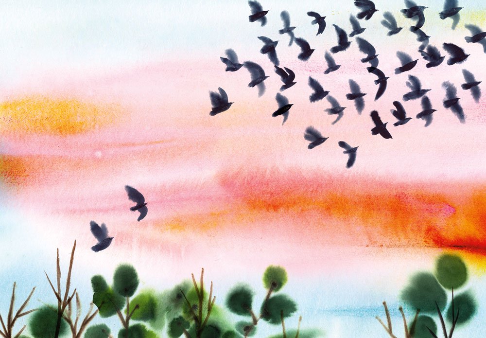 Starlings_07.jpg