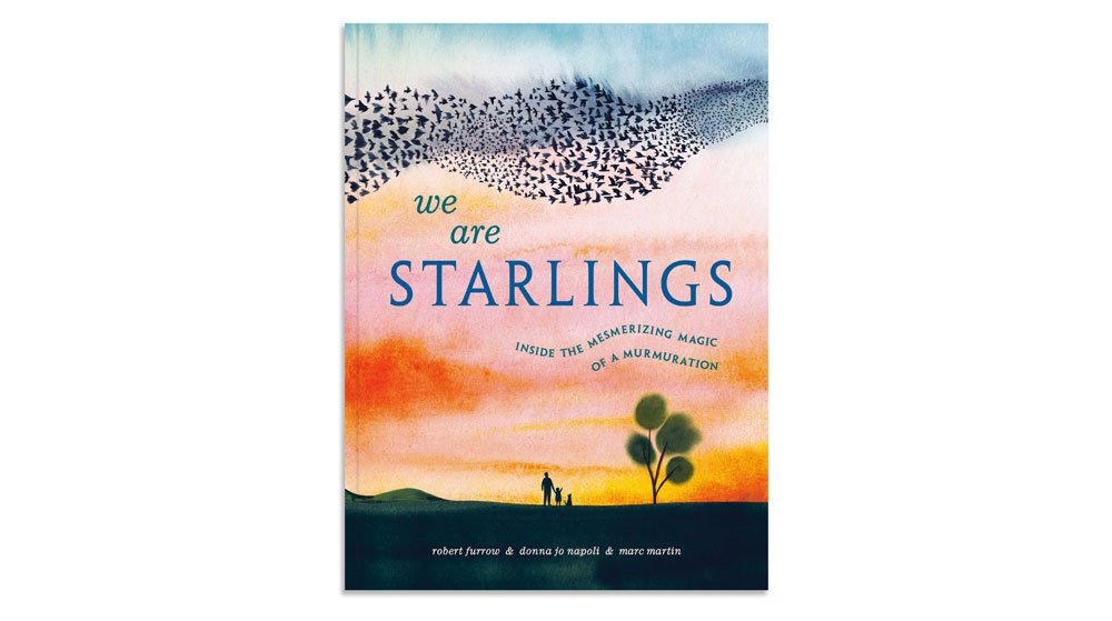 Starlings_08.jpg