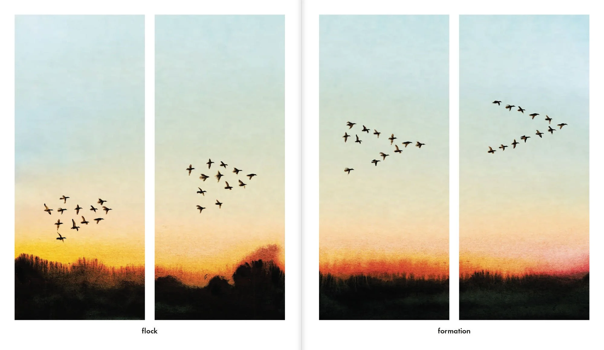 Dawn10.jpg