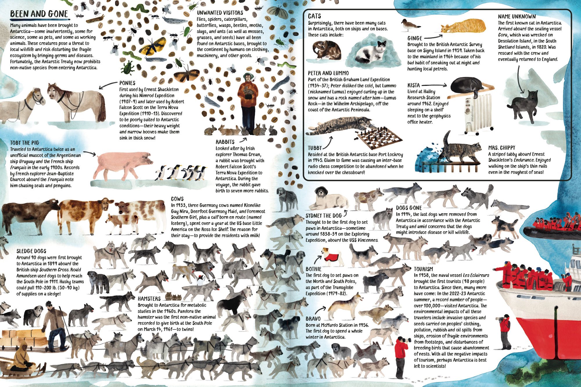 All_About_Antarctica_03.jpg