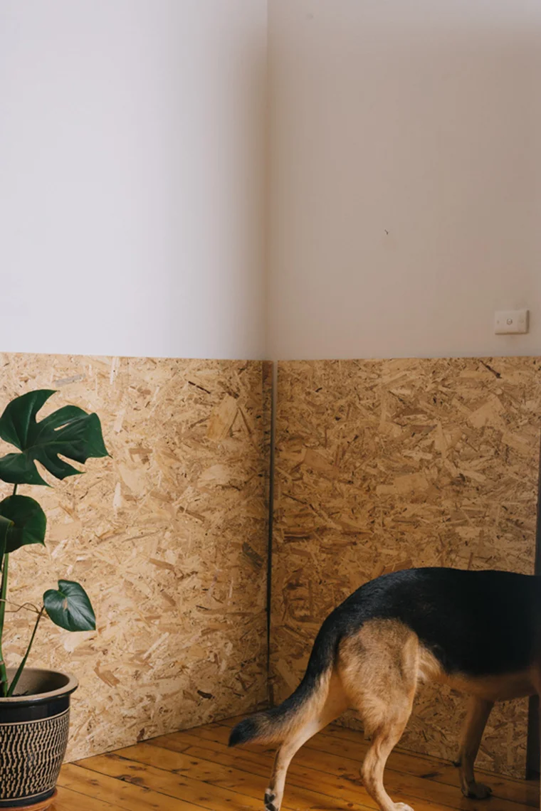 'When the dog had it up to here' Photo: Trying Not to Match