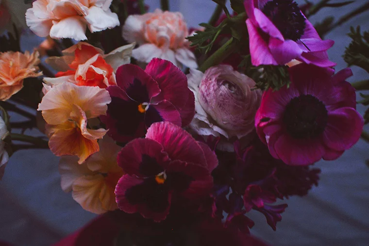 'It's easy to get caught up in the beautiful character of a single flower head,' says Eliza, 'I've found pansies particularly bewitching lately - I just cannot stop staring at their little faces.' Photo: Eliza Rogers
