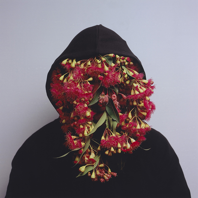 Christian Thompson, QLD / NSW / VIC b1978, Bidjarra / Kunja people, Black Gum 2 (from 'Australian Graffiti' series), 2008. Type C photograph. Purchased 2008 with funds from The Queensland Art Gallery Foundation. Collection: Queensland Art Gallery