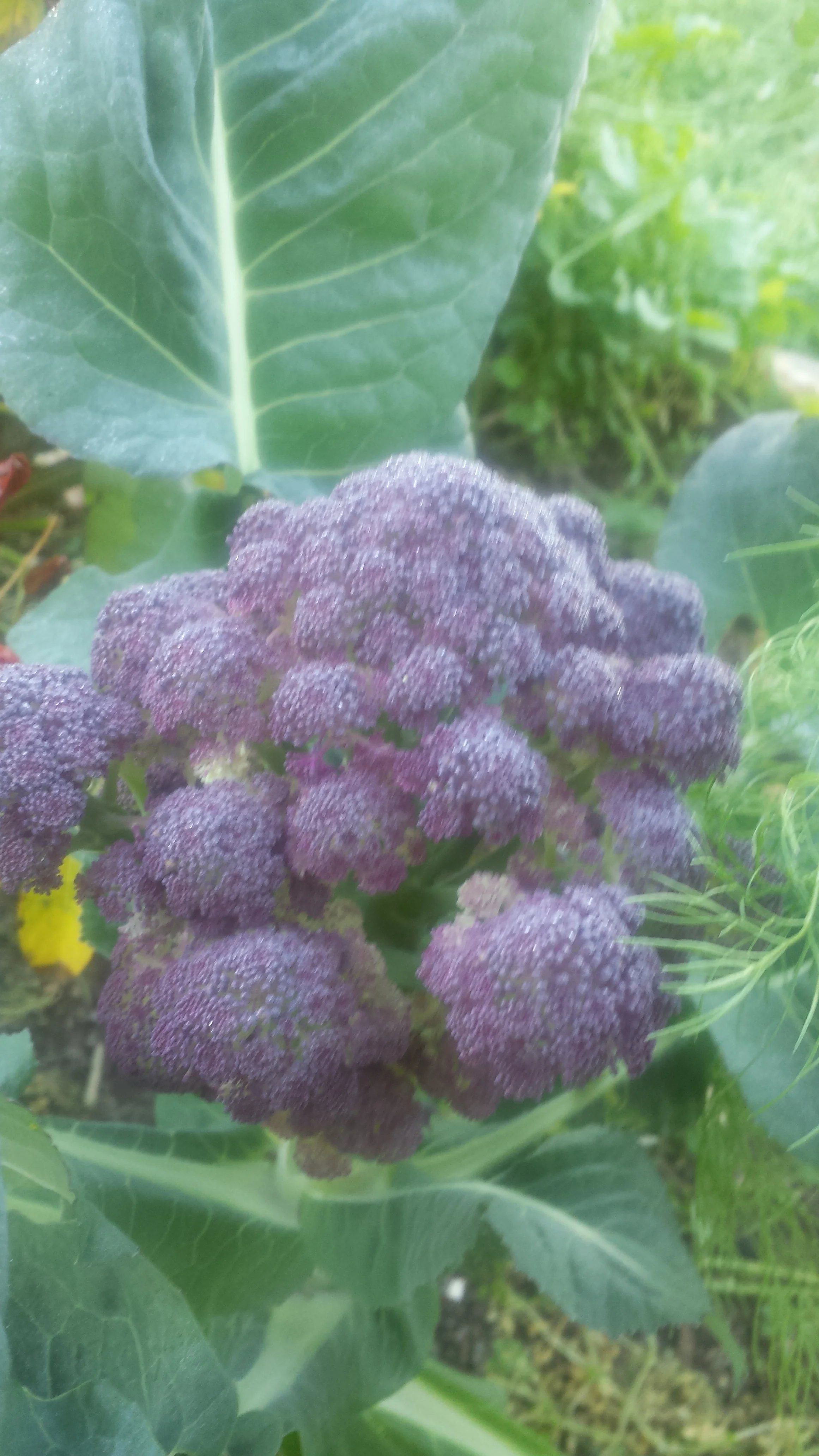 20170822_084343.jpg