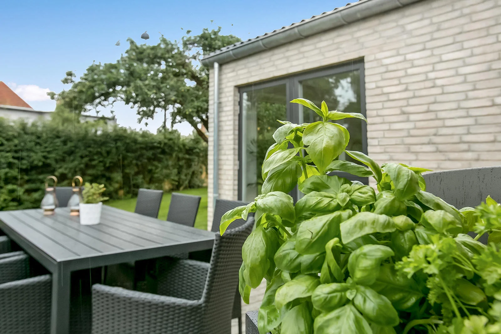 Terrasse (20).jpg