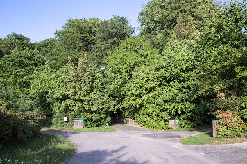 Stokkevad-Maimouselle-078.jpg