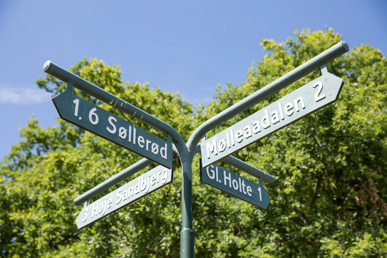 Lyngskraenken-Maimouselle-107.jpg