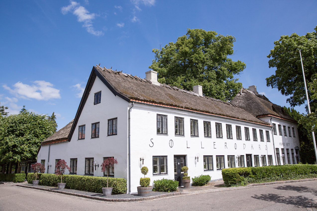 Lyngskraenken-Maimouselle-112.jpg